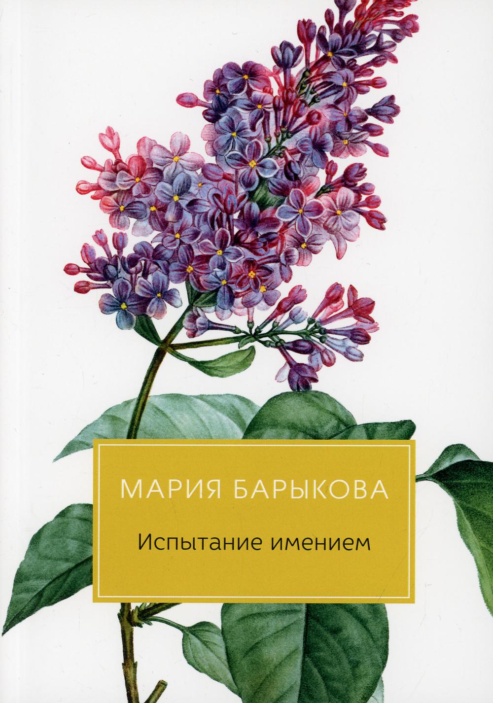 Барыкова М.. Испытание имением.